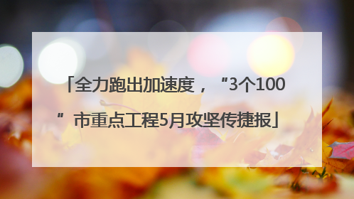 全力跑出加速度，“3个100”市重点工程5月攻坚传捷报