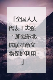 全国人大代表王志强：加强东北抗联革命文物保护利用