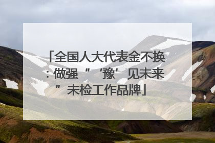 全国人大代表金不换：做强“‘豫’见未来”未检工作品牌