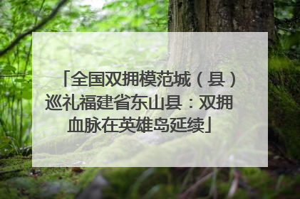 全国双拥模范城（县）巡礼福建省东山县：双拥血脉在英雄岛延续