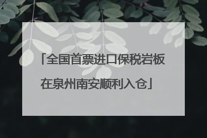 全国首票进口保税岩板在泉州南安顺利入仓