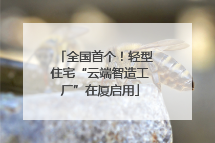 全国首个！轻型住宅“云端智造工厂”在厦启用