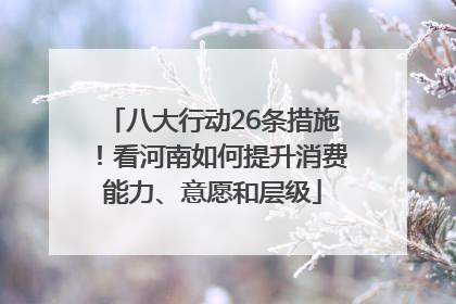 八大行动26条措施！看河南如何提升消费能力、意愿和层级