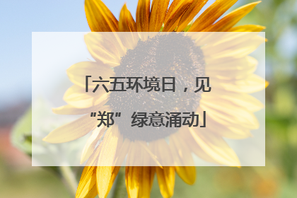 六五环境日，见“郑”绿意涌动
