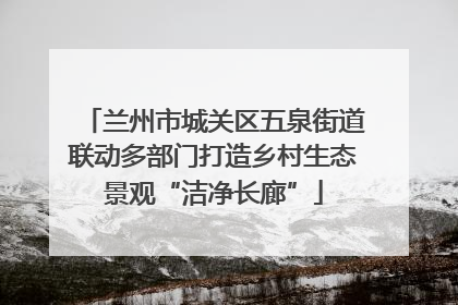 兰州市城关区五泉街道联动多部门打造乡村生态景观“洁净长廊”