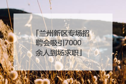 兰州新区专场招聘会吸引7000余人到场求职