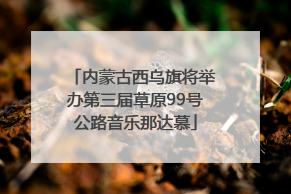 内蒙古西乌旗将举办第三届草原99号公路音乐那达慕