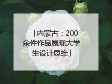 内蒙古：200余件作品展现大学生设计思维