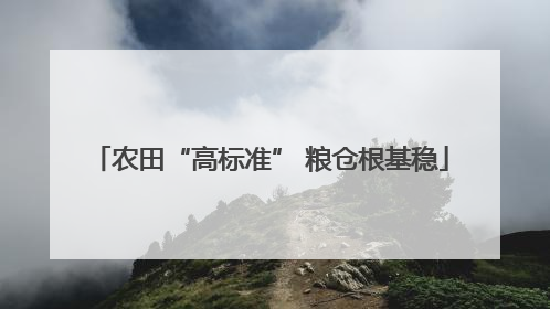 农田“高标准” 粮仓根基稳