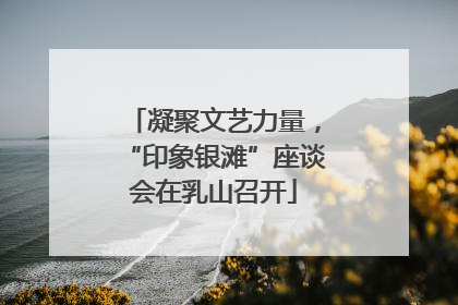 凝聚文艺力量，“印象银滩”座谈会在乳山召开