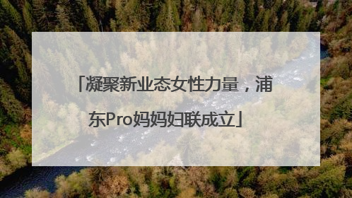 凝聚新业态女性力量，浦东Pro妈妈妇联成立