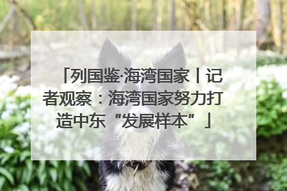 列国鉴·海湾国家丨记者观察：海湾国家努力打造中东“发展样本”