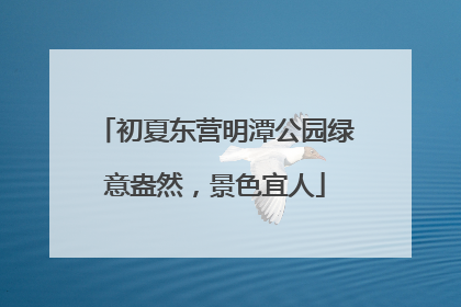 初夏东营明潭公园绿意盎然，景色宜人