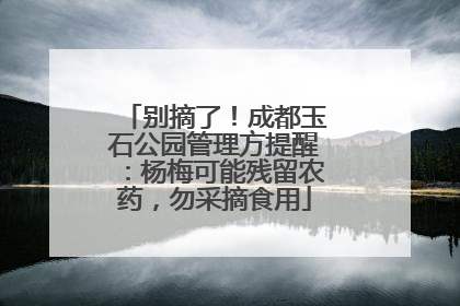 别摘了！成都玉石公园管理方提醒：杨梅可能残留农药，勿采摘食用