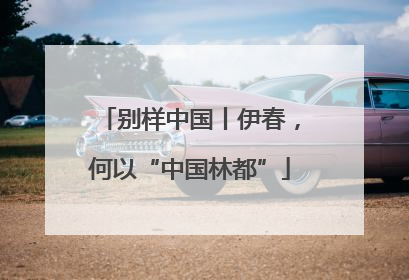 别样中国丨伊春，何以“中国林都”