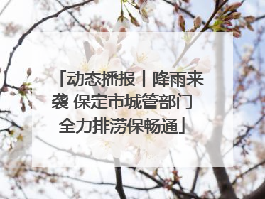 动态播报丨降雨来袭 保定市城管部门全力排涝保畅通