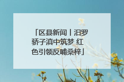 区县新闻丨汨罗骄子滇中筑梦 红色引领反哺桑梓