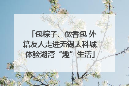 包粽子、做香包 外籍友人走进无锡太科城体验湖湾“趣”生活
