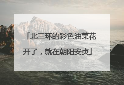 北三环的彩色油菜花开了，就在朝阳安贞