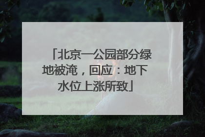 北京一公园部分绿地被淹，回应：地下水位上涨所致