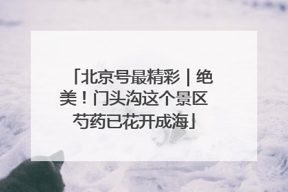 北京号最精彩｜绝美！门头沟这个景区芍药已花开成海