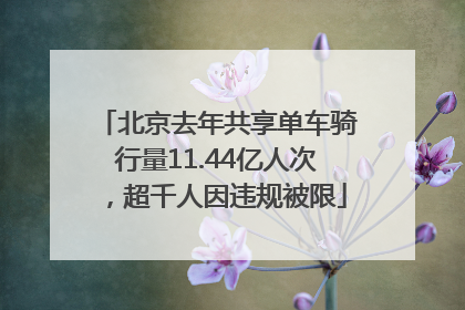 北京去年共享单车骑行量11.44亿人次，超千人因违规被限