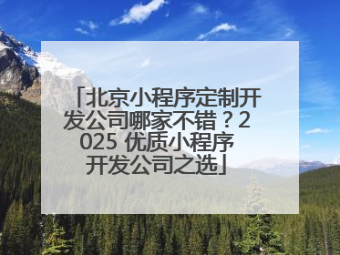 北京小程序定制开发公司哪家不错？2025 优质小程序开发公司之选