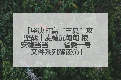 坚决打赢“三夏”攻坚战丨麦穗沉甸甸 粮安稳当当——省委一号文件系列解读①