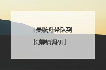 吴毓舟带队到长卿镇调研