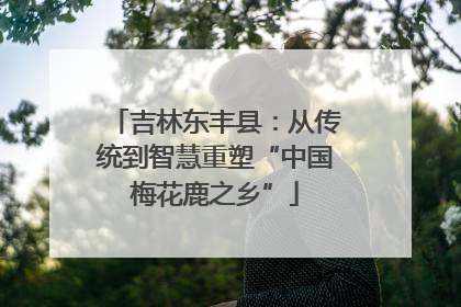 吉林东丰县：从传统到智慧重塑“中国梅花鹿之乡”