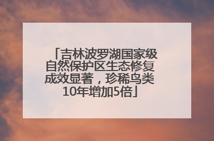 吉林波罗湖国家级自然保护区生态修复成效显著，珍稀鸟类10年增加5倍