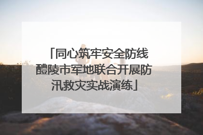 同心筑牢安全防线 醴陵市军地联合开展防汛救灾实战演练