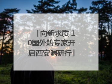 向新求质 10国外籍专家开启西安调研行