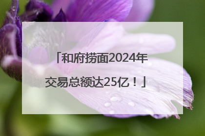 和府捞面2024年交易总额达25亿！