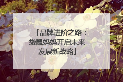 品牌进阶之路：袋鼠妈妈开启未来发展新战略