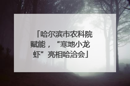 哈尔滨市农科院赋能，“寒地小龙虾”亮相哈洽会