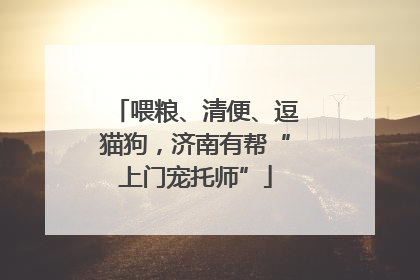 喂粮、清便、逗猫狗，济南有帮“上门宠托师”