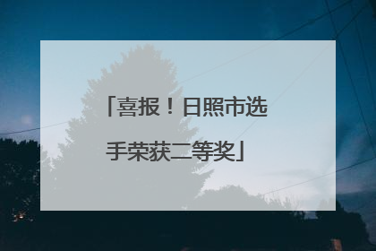 喜报！日照市选手荣获二等奖