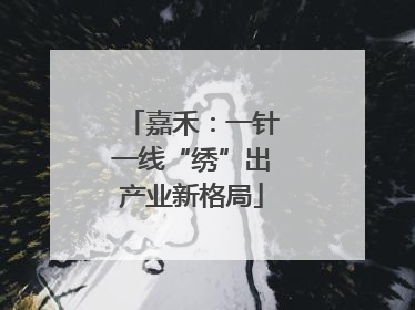 嘉禾：一针一线“绣”出产业新格局