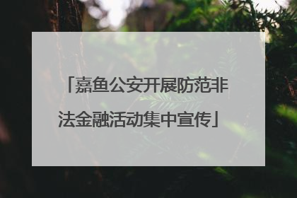 嘉鱼公安开展防范非法金融活动集中宣传