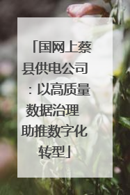 国网上蔡县供电公司：以高质量数据治理 助推数字化转型