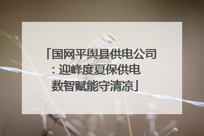 国网平舆县供电公司：迎峰度夏保供电  数智赋能守清凉