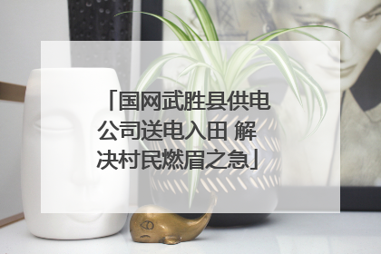 国网武胜县供电公司送电入田 解决村民燃眉之急
