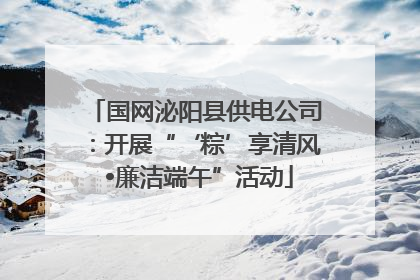 国网泌阳县供电公司：开展“‘粽’享清风 •廉洁端午”活动