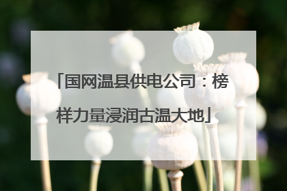 国网温县供电公司：榜样力量浸润古温大地