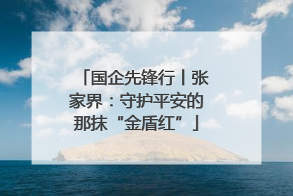 国企先锋行丨张家界：守护平安的那抹“金盾红”