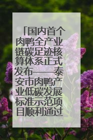 国内首个肉鸭全产业链碳足迹核算体系正式发布——泰安市肉鸭产业低碳发展标准示范项目顺利通过验收