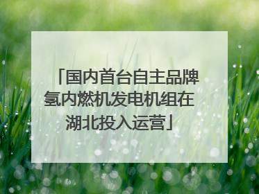 国内首台自主品牌氢内燃机发电机组在湖北投入运营