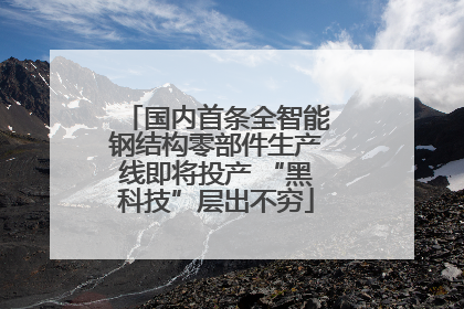 国内首条全智能钢结构零部件生产线即将投产 “黑科技”层出不穷