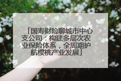 国寿财险聊城市中心支公司：构建多层次农业保险体系，全周期护航樱桃产业发展